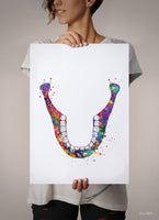 Human Jaw Skeleton Watercolor Print Lower Jaw Tooth Anatomical Medical Art Dental Art Clinic Dentistry Office Dentist Gift Doctor Art-321