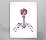 Bacteriophage Watercolor Print Medical Art Biotech Wall Art Bioscience Microbiology Virus Art Biology Bacteria Microscopy Science Decor-195