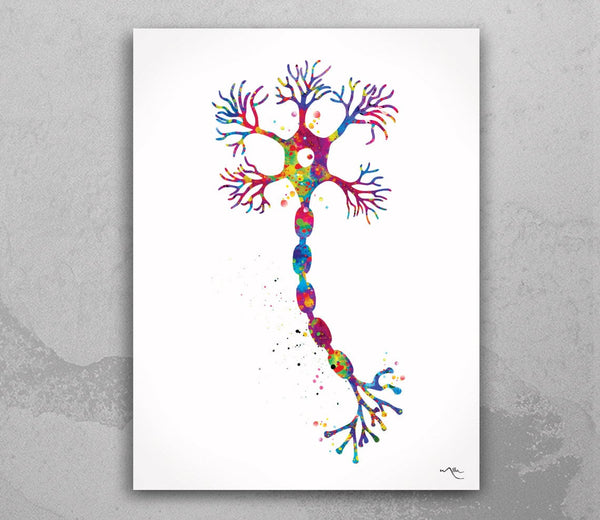 Motor Neuron Watercolor Print  Science Art Poster Neurology Medical Art Brain Graduation Neuroscience Art Neurologist Clinic Decor Gift-1059