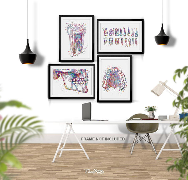 Dental Office Decor Watercolor Print Set of 4 Teeth Tooth Dentist Dental Clinic Decor Gift Medical Art Dentistry Art Anatomy Orthodontist-19