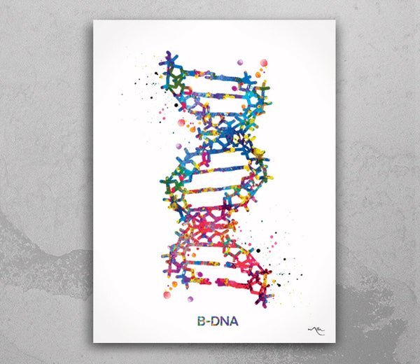 DNA Molecule B-DNA Watercolor Print Medical Wall Art Nurse Gift Medical Art Science Art Clinic Gift Doctor Genetic Laboratory Biology-1054