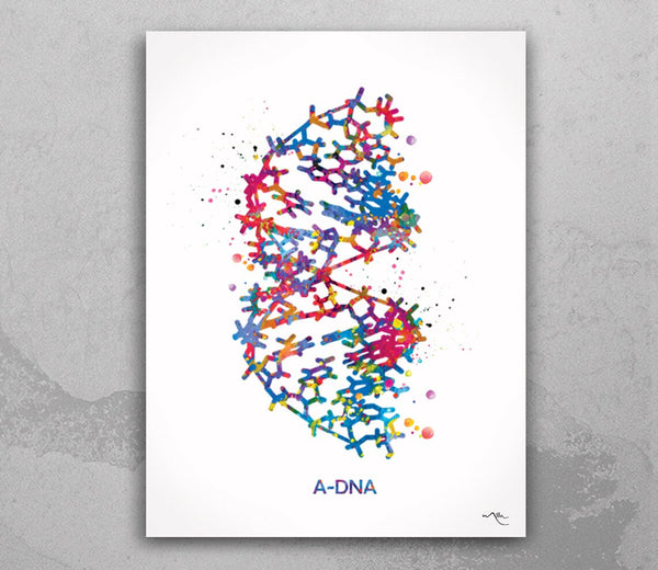 DNA Molecule A-DNA Watercolor Print Medical Wall Art Nurse Gift Medical Art Science Art Clinic Gift Doctor Genetic Laboratory Biology-1053