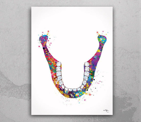 Human Jaw Skeleton Watercolor Print Lower Jaw Tooth Anatomical Medical Art Dental Art Clinic Dentistry Office Dentist Gift Doctor Art-321