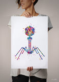 Bacteriophage Watercolor Print Medical Art Biotech Wall Art Bioscience Microbiology Virus Art Biology Bacteria Microscopy Science Decor-195