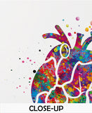 Heart Health Watercolor Print Medical Art Anatomy Cardiology Clinic Office Decor Heart Healing Cardiologist Cardiovascular Wall Art Gift-287