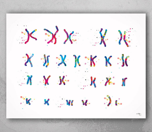 Male Chromosome Down Syndrome Watercolor Print Karyotype 21st Chromosome Medical Art Decor Wall Art Nurse Gift Laboratory Science Genetic-73