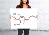 Mescaline Molecule Watercolor Print Chemical Molecule Wall Art Nerd Science Art Biology Medical Art Chemistry Laboratory Medical Clinic-1647