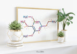 Mescaline Molecule Watercolor Print Chemical Molecule Wall Art Nerd Science Art Biology Medical Art Chemistry Laboratory Medical Clinic-1647
