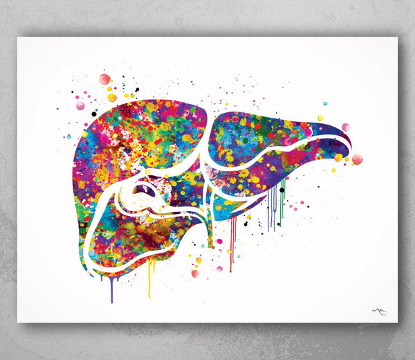 Liver Anatomy Watercolor Print Human Organs Gastroenterology Clinic Decor Liver Poster Art Graduaiton Gift Medical Art Science Art Gift-1030