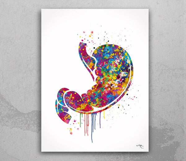 Stomach Watercolor Print Human Organs Gastrointestinal Clinic Decor stomach cancer Gastroenterology Medical Art Gastroenterologist Gift-1031