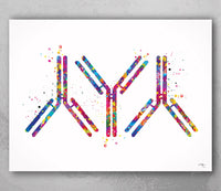 Antibody Watercolor Print Antibodies Medical Art immunology Nurse Practitioner Medicine immune system IgG CANVAS Doctor Office Clinic-1292