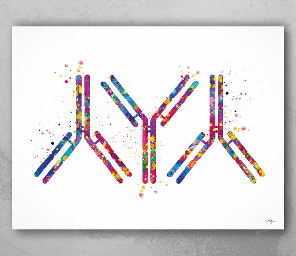Antibody Watercolor Print Antibodies Medical Art immunology Nurse Practitioner Medicine immune system IgG CANVAS Doctor Office Clinic-1292