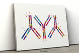 Antibody Watercolor Print Antibodies Medical Art immunology Nurse Practitioner Medicine immune system IgG CANVAS Doctor Office Clinic-1292