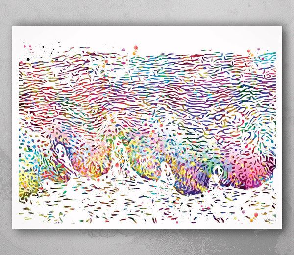 Cervical Histology Watercolor Print Anatomy Art Cervical Epithelium Medical Art Vertebral Office Decor Skeletal System Orthopedic Art-732