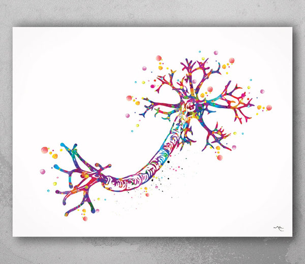 Nerve Cell Watercolor Print  Science Poster Neurology Art Nerve Cell Medical Art Brain Graduation Gift Neuroscience Clinic Decor Gift-1036