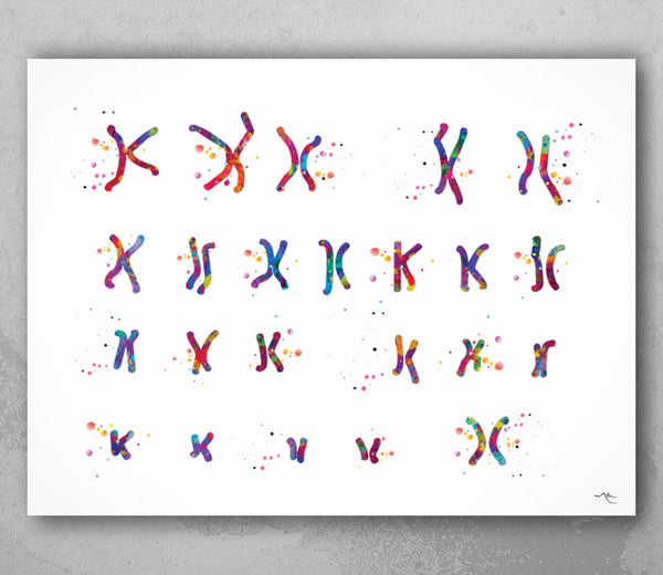 Female Chromosome Watercolor Print Karyotype Medical Art Wall Art Nurse Gift Laboratory Science Art Clinic Genetic Chromosome idiogram-234