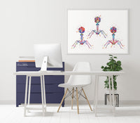 Bacteriophage Watercolor Print Virus Medical Art T-Cell Biotech Wall Art Bioscience Microbiology Bacteria Biology Microscopy Science Art-196