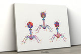 Bacteriophage Watercolor Print Virus Medical Art T-Cell Biotech Wall Art Bioscience Microbiology Bacteria Biology Microscopy Science Art-196