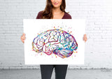 Brain Anatomy Watercolor Print Medical Art Science Art Graduation Gift Anatomy Neurology Human Brain Nurse Science Poster Psychological-972