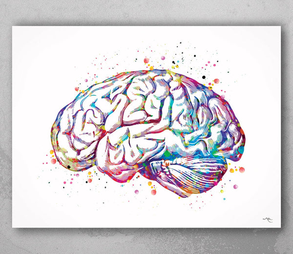 Brain Anatomy Watercolor Print Medical Art Science Art Graduation Gift Anatomy Neurology Human Brain Nurse Science Poster Psychological-972