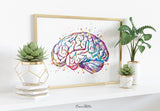 Brain Anatomy Watercolor Print Medical Art Science Art Graduation Gift Anatomy Neurology Human Brain Nurse Science Poster Psychological-972