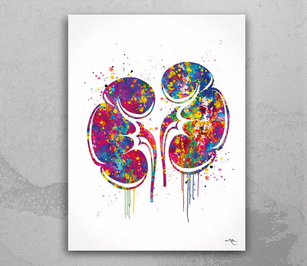 Kidneys Anatomy Watercolor Print Human Organs Gastrointestinal Nephrology Clinic Decor Art Graduaiton Gift Medical Art Doctor Art Gift-1151