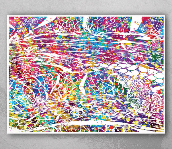 Human Skeletal Muscle Histology Watercolor Print Science Art Fibromyalgia Chiropractic Art Biology Art Medical Art Anatomy Clinic Decor-1197