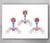 Bacteriophage Watercolor Print Virus Medical Art T-Cell Biotech Wall Art Bioscience Microbiology Bacteria Biology Microscopy Science Art-196