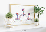 Bacteriophage Watercolor Print Virus Medical Art T-Cell Biotech Wall Art Bioscience Microbiology Bacteria Biology Microscopy Science Art-196