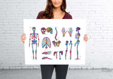 Skeletal System Watercolor Print Human Body Anatomy Art Medical Art Medicine Skull Art Wall Hanging Graduation Gift Clinic Decor Gift-1025