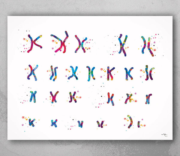 Male Chromosome Watercolor Print Karyotype Medical Art Wall Art Nurse Gift Laboratory Science Art Clinic Genetic Chromosome idiogram-236