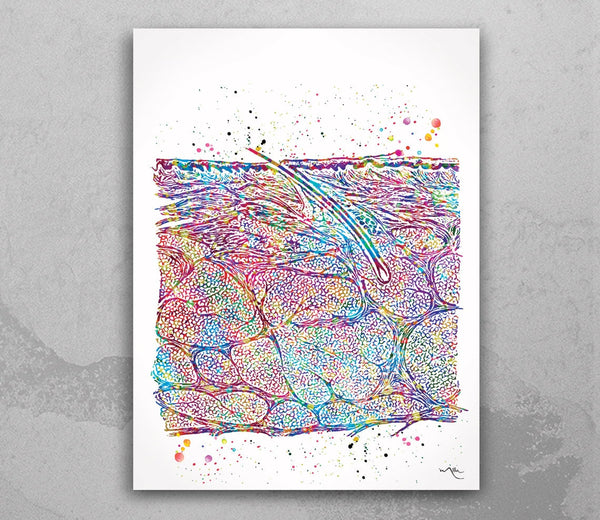 Cross Section of the Skin Watercolor Print Epidermis Histology Dermatology Art Skin Cell Medical Art Dermatologist Gift Clinic Decor-1159