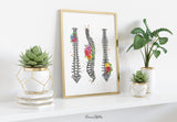 Spine Floral Watercolor Print Human Spine Anatomy Flowers Medical Art Medicine Neurology Neurosurgeon Neurologist Doctor Clinic Office-1358