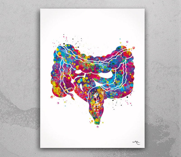 Intestine Art Watercolor Print Digestive System Large and Small Intestine Gastrointestinal Tract Clinic Gift Gi Tract Medical Art Clinic-843