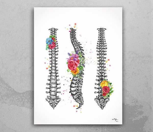 Spine Floral Watercolor Print Human Spine Anatomy Flowers Medical Art Medicine Neurology Neurosurgeon Neurologist Doctor Clinic Office-1358