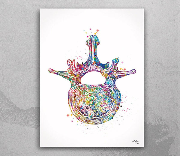 Lumbar Vertebra Superior View Watercolor Print Anatomy Medical Art Vertebral Bones Vertebral Column Spinal Cord L4 L5 Orthopedic Art-1481