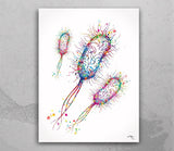 Microbiology Set of 3 Watercolor Print Microbiologist Bacteriophage Virus Microscope Student Student Graduation Laboratory Back to School-78