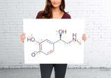 Adrenaline Molecule Watercolor Print Chemical Epinephrine Molecule Nerd Art Science Biology Medical Art Chemistry Science Art Decor-350