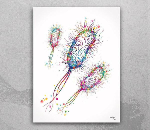Escherichia Coli Watercolor Print Medical Art e coli Microbiologist Wall Art Bioscience Microbiology Virus Biology Bacteria Microscopy-81