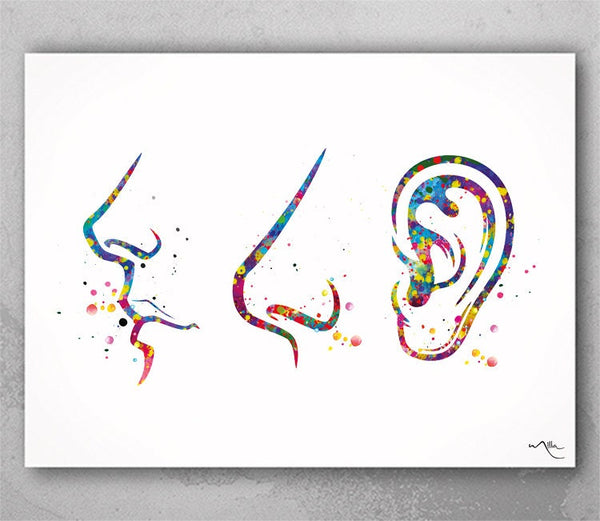 Ear Nose Throat Doctor Art Watercolor Print Clinic Decor Doctor Medical Art Medicine Art Medical Office Nursing ENT Surgery Gift ENT Art-652