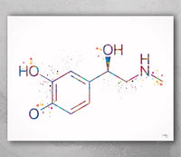 Adrenaline Molecule Watercolor Print Chemical Epinephrine Molecule Nerd Art Science Biology Medical Art Chemistry Science Art Decor-350