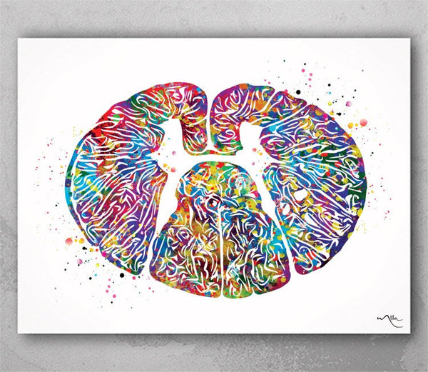 Thoracic Dorsal Spinal Cord Watercolor Print Medical Art Neurology Neurosurgeon Art Neurologist Wall Hanging Doctor Clinic Office Decor-1232