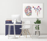 Kidney and Glomerulus Watercolor Print Urinary Tract Medical Art Decor Medical Office Clinic Kidney Anatomy Nephrology Office Wall Art-2307