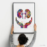 Kidney Care Watercolor Print Gastrointestinal Nephrology Clinic Decor Urologist Gift Dialysis Nurse Gift Medical Art Hemodialysis Gift-2456