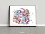 Eye Cross Section Watercolor Print Eye Anatomy Optometrist Optician Poster Medical Art Ophthalmology Eye Ball Doctor Office Wall Art-179