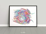 Eye Cross Section Watercolor Print Eye Anatomy Optometrist Optician Poster Medical Art Ophthalmology Eye Ball Doctor Office Wall Art-179