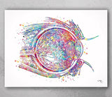Eye Cross Section Watercolor Print Eye Anatomy Optometrist Optician Poster Medical Art Ophthalmology Eye Ball Doctor Office Wall Art-179