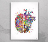 Heart and Brain Watercolor Print Medical Art Science Art Geek Nerd Neurology Wall Art Artistic Brain Left Right Brain Poster Wall Decor-733