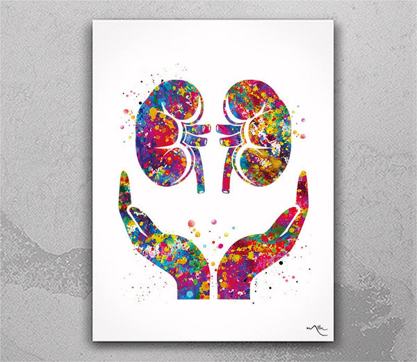 Kidney Care Watercolor Print Gastrointestinal Nephrology Clinic Decor Urologist Gift Dialysis Nurse Gift Medical Art Hemodialysis Gift-2456