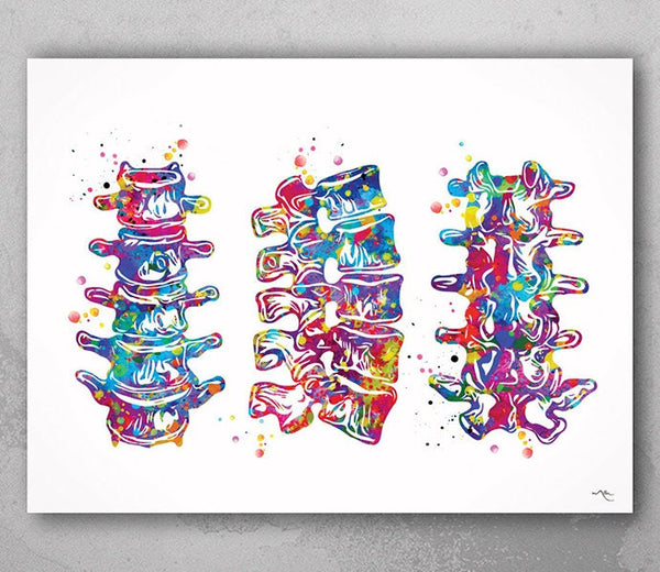 Lumbar Spine Watercolor Print Human Anatomy Art Vertebral Column Medical Art Vertebral Bones Chiropractic Skeletal System Orthopedic-1227
